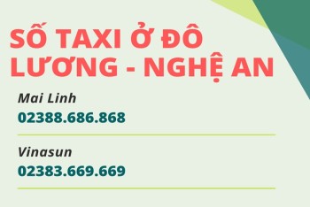 Số Taxi Đô Lương Nghệ An: Cập nhật 10 hãng tốt và giá rẻ nhất