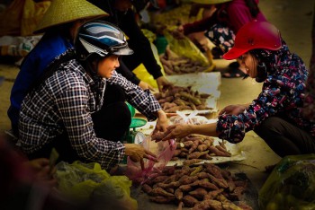 Đi chợ Nghi Phú