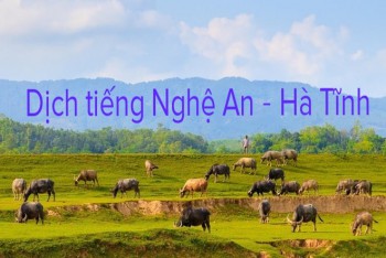 Dịch tiếng Nghệ An Hà Tĩnh: 15 từ thường gặp nhất