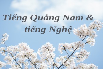 Tiếng Quảng Nam khác gì so với tiếng Nghệ?