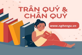 Chân quý hay trân quý viết đúng? Mẹo phân biệt chân hay trân