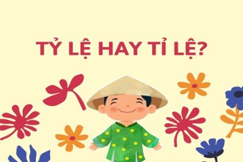 Tỉ lệ hay tỷ lệ là đúng? Cách viết nào chính xác hơn?