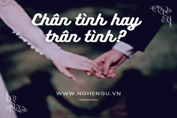 Trân tình hay chân tình viết đúng? Mẹo phân biệt đơn giản