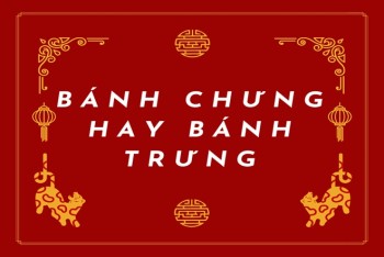 Bánh chưng hay bánh trưng là đúng? Phân biệt chưng hay trưng