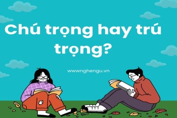 Chú trọng hay trú trọng đúng chính tả? Cách phân biệt chú và trú