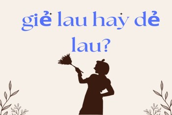 Giẻ lau hay dẻ lau viết đúng? Cách phân biệt dẻ hay giẻ chi tiết