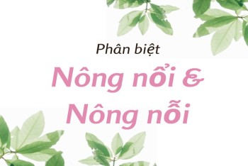 Cách phân biệt nông nổi hay nông nỗi chính xác nhất