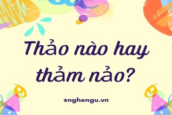 Thảo nào hay thảm nào hay thả nào viết đúng chính tả?