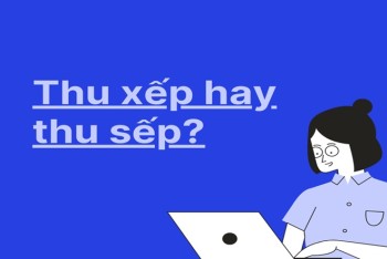 Thu xếp hay thu sếp viết đúng? Mẹo phân biệt xếp hay sếp