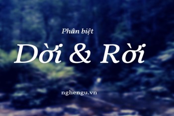 Di dời hay di rời? Rời đi hay dời đi viết đúng chính tả?