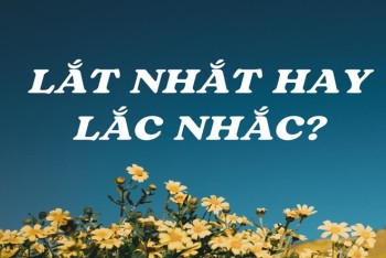 Lắt nhắt hay lắc nhắc đúng chính tả? Phân biệt lắt hay lắc