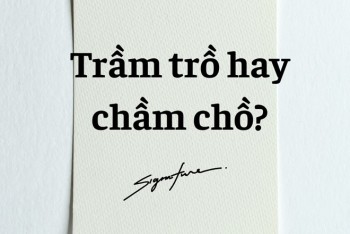 Trầm trồ hay chầm chồ? Bảng phân biệt trầm hay chầm chi tiết