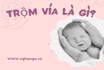 Trộm vía là gì? Tại sao phải nói trộm vía? Có phải tiếng Nghệ?