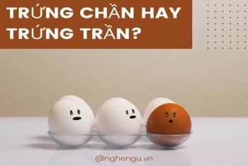 Trứng trần hay trứng chần viết đúng? Phân biệt chần và trần