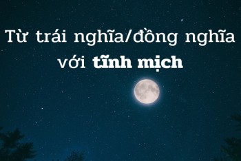 Top 5 từ trái nghĩa với từ tĩnh mịch và 5 từ đồng nghĩa