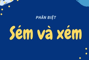 Xém hay sém? Cháy xém hay cháy sém? Cách phân biệt chi tiết