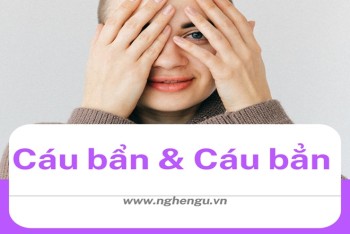 Cáu bẩn hay cáu bẳn đúng? Cách phân biệt chi tiết