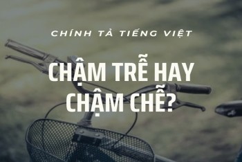 Chậm trễ hay chậm chễ đúng chính tả? Phân biệt trễ hay chễ