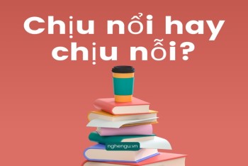 Chịu nổi hay chịu nỗi? Chịu không nổi hay chịu không nỗi?