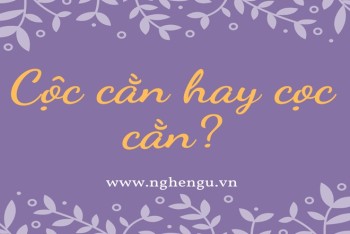 Cọc cằn hay cộc cằn? Cộc tính hay cọc tính đúng chính tả?