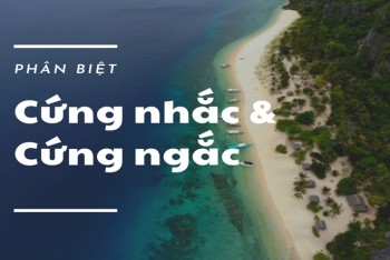 Cách phân biệt cứng ngắc hay cứng nhắc chính xác