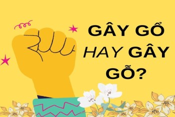 Gây gổ hay gây gỗ viết đúng chính tả? Ví dụ chi tiết nhất