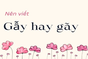 Gãy hay gẫy mới đúng chính tả tiếng Việt?