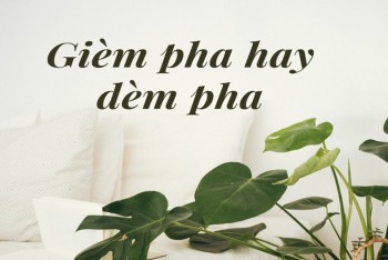 Gièm pha hay dèm pha đúng chính tả? Nghĩa là gì?