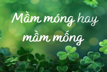 Viết mầm móng hay mầm mống đúng? Phân biệt móng hay mống