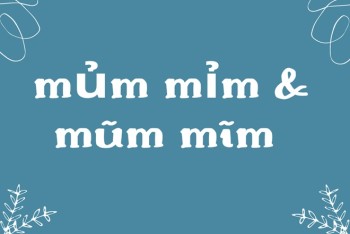 Mủm mỉm hay mũm mĩm khác nhau như thế nào?