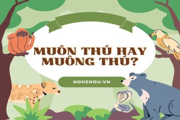 Muôn thú hay muông thú đúng? Viết muông loài hay muôn loài?