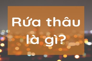 Rứa thâu là gì trong tiếng Nghệ? Ví dụ về từ rứa thâu