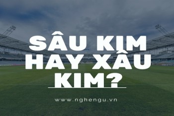 Sâu kim hay xâu kim đúng chính tả tiếng Việt?