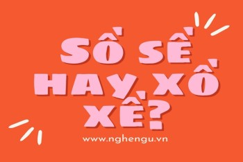 Xồ xề hay sồ sề đúng chính tả? Phân biệt xề hay sề chi tiết