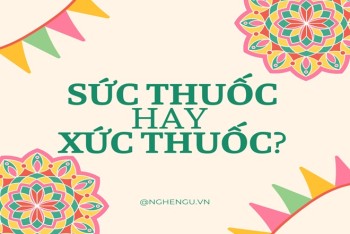 Sức thuốc hay xức thuốc đúng? Phân biệt sức hay xức