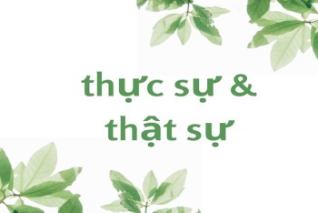 Thực sự hay thật sự đúng? Nên viết thật sự hay thực sự?