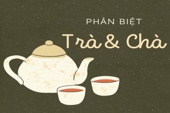 Trà trộn hay chà trộn đúng chính tả? Phân biệt trà hay chà