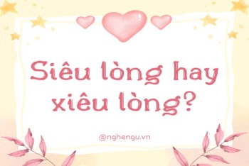 Xiêu lòng hay siêu lòng? Liêu xiêu hay liêu siêu đúng chính tả?