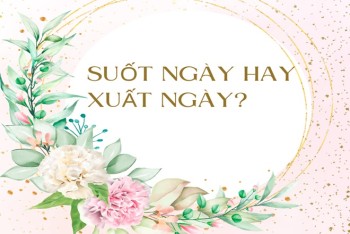 Xuất ngày hay suốt ngày đúng? Phân biệt xuất và suốt