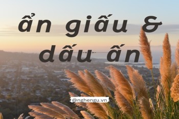 Viết ẩn dấu hay ẩn giấu, dấu ấn hay giấu ấn mới đúng?