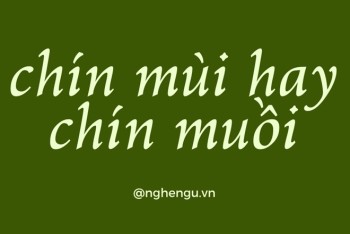 Chín mùi hay chín muồi đúng? Viết mùi mẫn hay muồi mẫn?