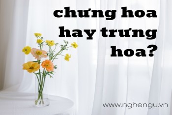 Viết chưng hoa hay trưng hoa? Trưng bông hay chưng bông đúng?