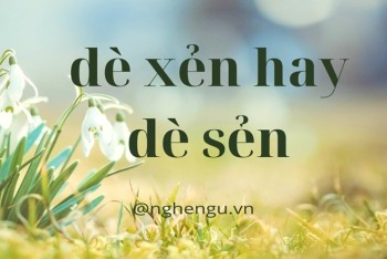 Dè xẻn hay dè sẻn từ nào viết đúng chính tả tiếng Việt?