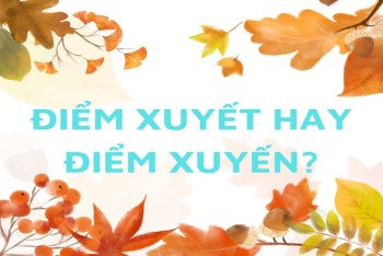 Điểm xuyết hay điểm xuyến từ nào viết đúng? Nghĩa là gì?