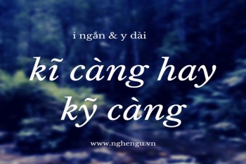 Viết kỹ càng hay kĩ càng? Nên viết i ngắn hay y dài hay hơn?