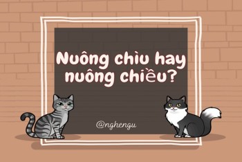 Nuông chìu hay nuông chiều? Chiều ý hay chìu ý đúng?