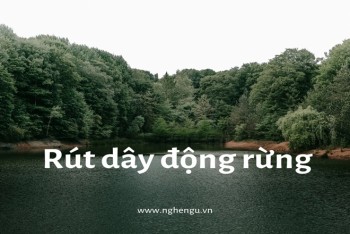 Rút dây động rừng hay rút dây động dừng mới đúng?