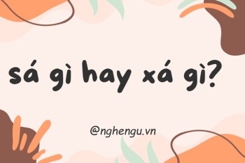 Viết sá gì hay xá gì? Sá chi hay xá chi mới đúng chính tả?