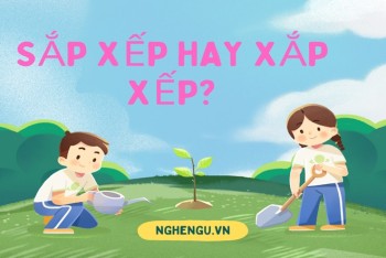 Từ sắp xếp hay xắp xếp là đúng? Phân biệt sắp hay xắp