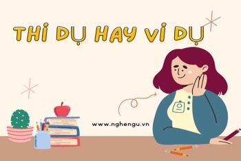 Viết thí dụ hay ví dụ đúng? Khi nào dùng ví dụ/thí dụ?